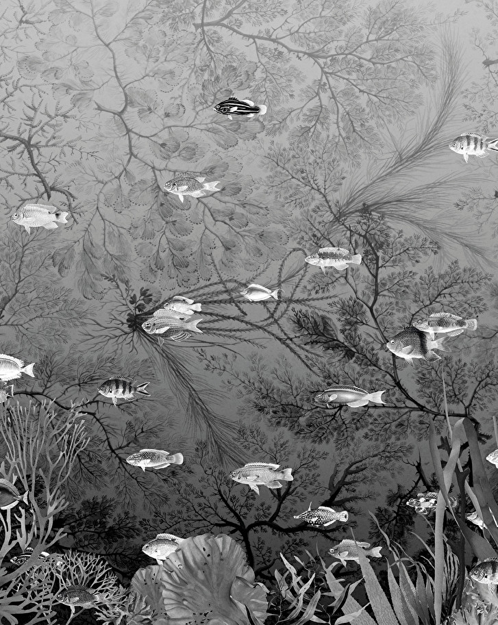 Devon&DevonSamoa Black&White Wallpaper墙纸